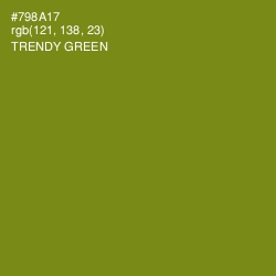 #798A17 - Trendy Green Color Image